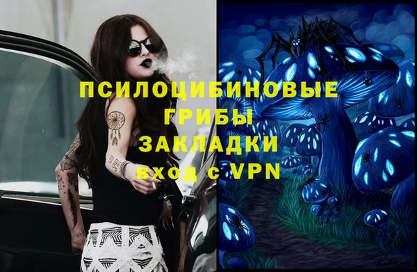 ешки Козловка