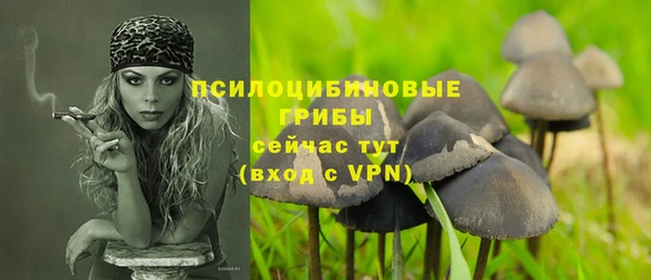 ешки Козловка