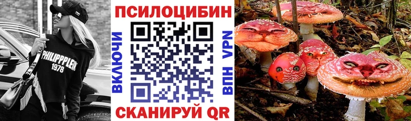Купить закладки  Торжок  Псилоцибиновые грибы GOLDEN TEACHER 